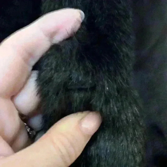 Cinemoda Italia  size medium shirt faux fur coat - Picture 7 of 7